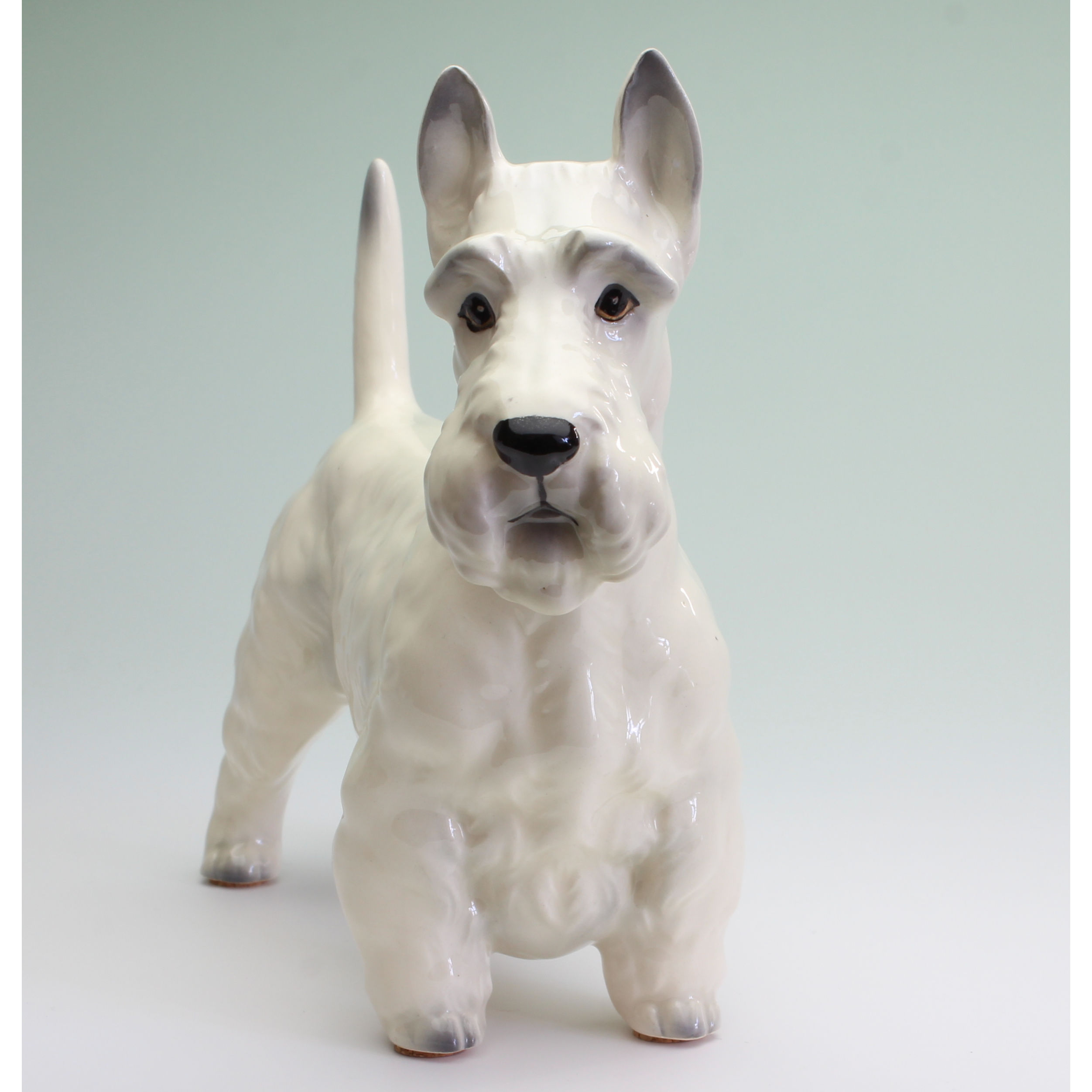 陶器犬置物 スコティッシュテリア 白 小 | Haniibaaz
