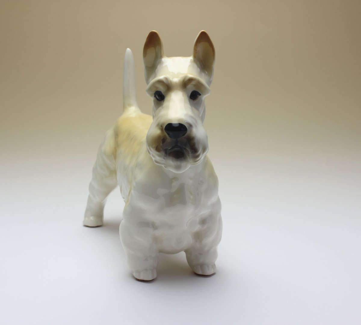陶器犬置物 スコティッシュテリア ウイートン 小麦 小 | Haniibaaz 陶器犬置物 スコティッシュテリア ウイートン 小麦 小 | Haniibaaz