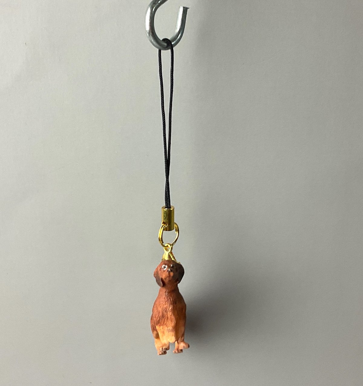 ダックスフント レッド ストラップ | Haniibaaz