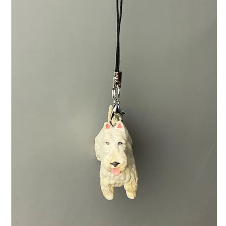 スコティッシュテリア | STORES スコティッシュテリア | STORES