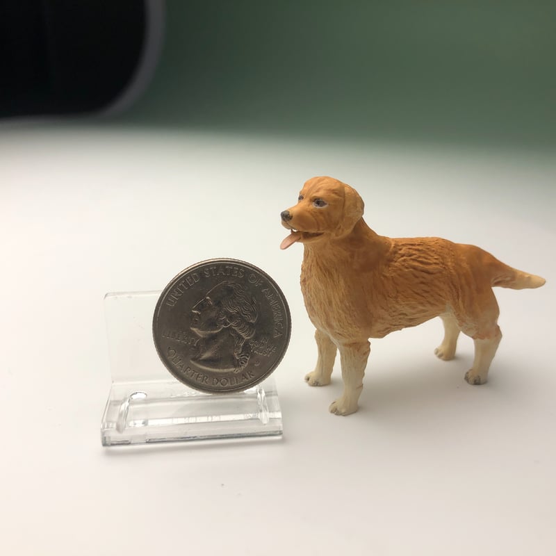 RISA FRANK リサフランク ゴールデンレトリバー 犬 箱 ボックスセット