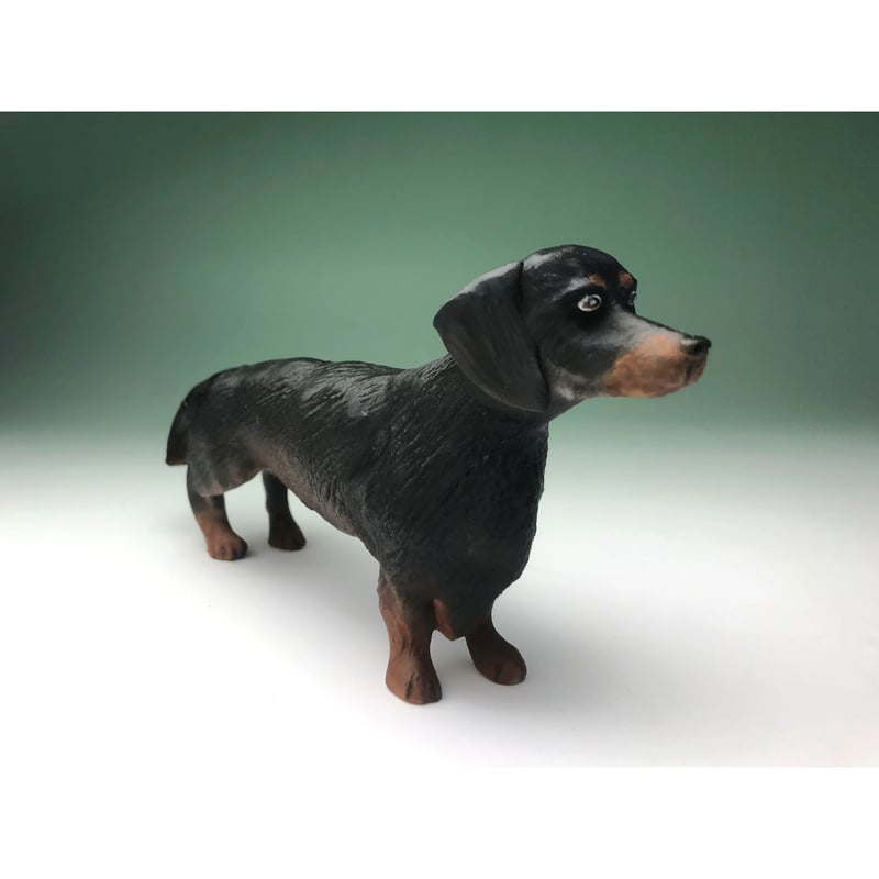 ダックスフント ブラック＆タン | Haniibaaz