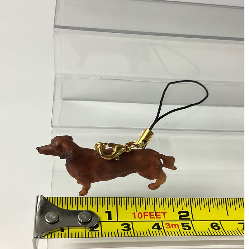 ダックスフント レッド ストラップ | Haniibaaz