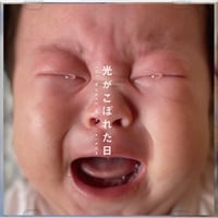4th Album「光がこぼれた日」