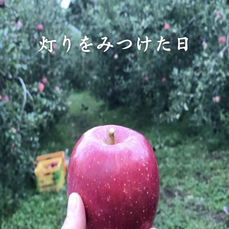 5ef8b979d3f16717c917d286