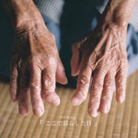 1st  Album「ここで暮らした日」