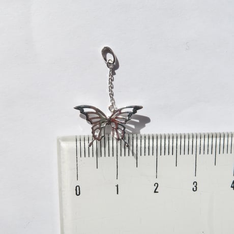 【charm】　butterfly