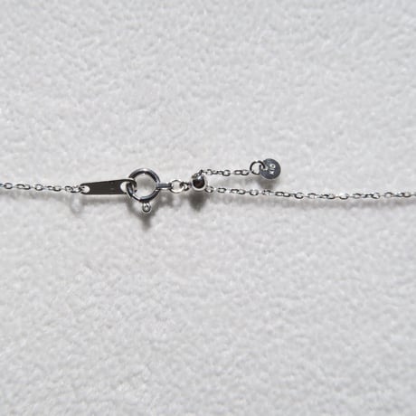 【necklace】　バイカラーゾイサイト PS 甲州貴石切子