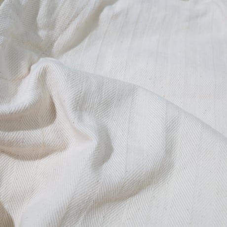 FOB FACTORY / HBT PAINTER PANTS / F0485