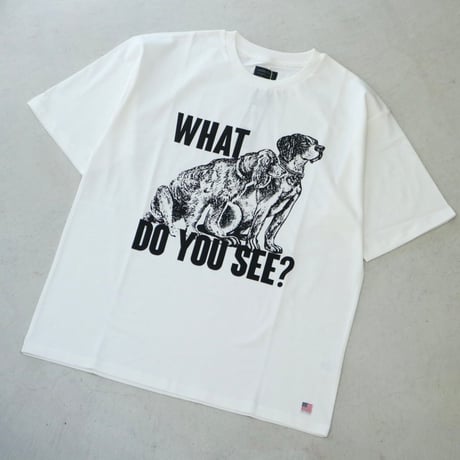 modem design / USA Cotton Print Tee / M-2401254
