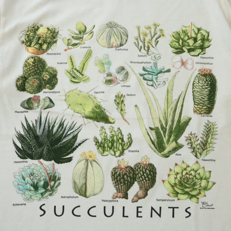 UNISEX / ATLAS SCREEN PRINTING / S/S PRINT TEE