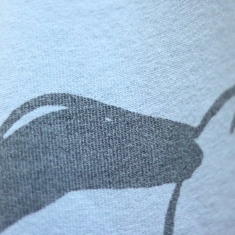 BARNS OUTFITTERS / HEAVY RAGLAN SNOOPY T / BR-25266