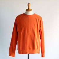 Velva Sheen / 8oz PIGMENT CN FREEDOM SWEAT