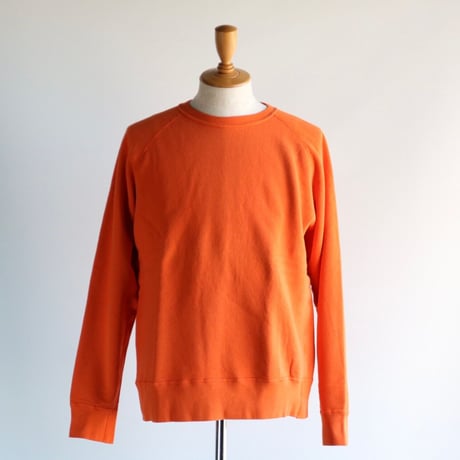 Velva Sheen / 8oz PIGMENT CN FREEDOM SWEAT