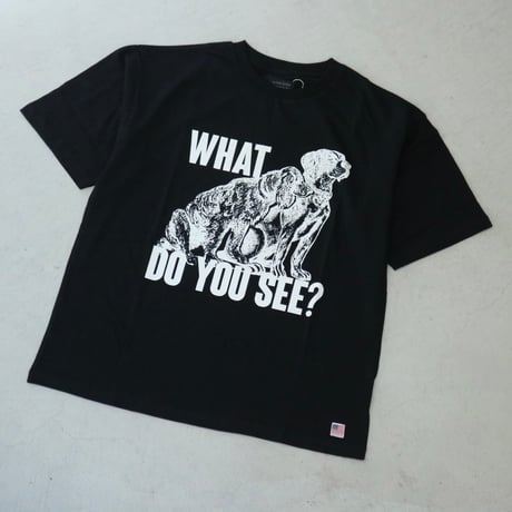 modem design / USA Cotton Print Tee / M-2401254