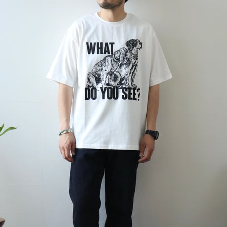 modem design / USA Cotton Print Tee / M-2401254