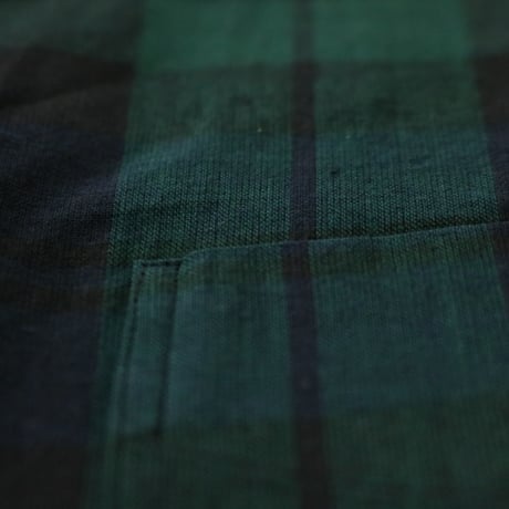 D.C.WHITE / IVY BD SHIRTS -Madras- / D241651