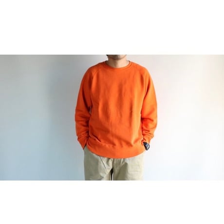 Velva Sheen / 8oz PIGMENT CN FREEDOM SWEAT