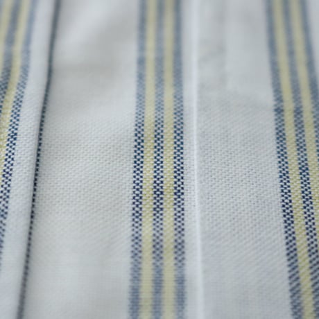 D.C.WHITE / IVY BD SHIRTS -Vintage OX- / D241652