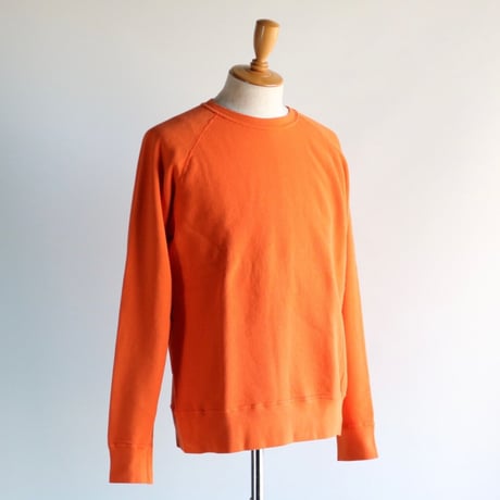 Velva Sheen / 8oz PIGMENT CN FREEDOM SWEAT