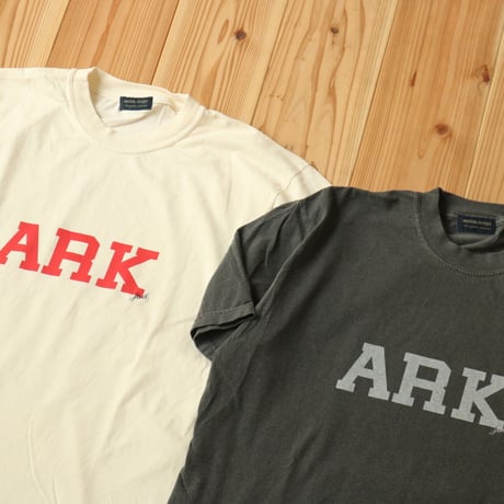 UNISEX / modem design / PIGMENT LOGO TEE ''PARK'' / M-2301051