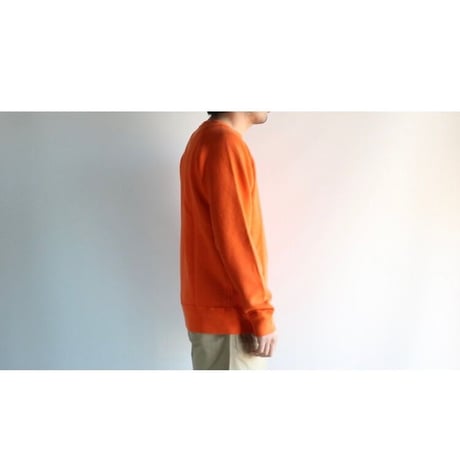 Velva Sheen / 8oz PIGMENT CN FREEDOM SWEAT