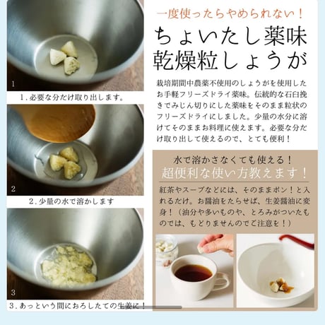 とにかく便利！すぐに使える オーガニック　フリーズドライ生姜