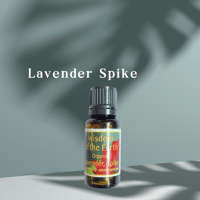 Lavender Spike　どのタイプの片頭痛にお勧め