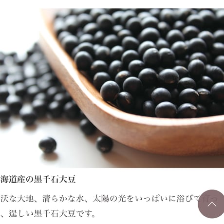 寝かせ酵素玄米 【栽培期間中無農薬米使用　コシヒカリ】