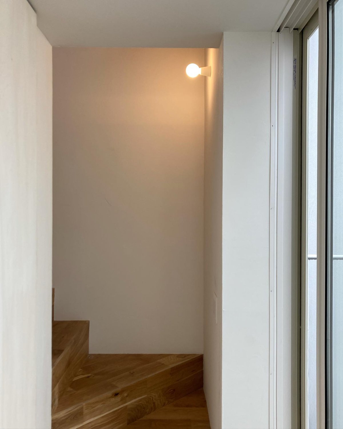 新品　建築ソケット　ホワイト　2個 建築ソケット M 【白】 | 建築ソケット