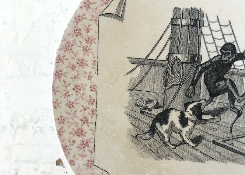 アンティーク○絵皿19､5cm○サルグミンヌ○ワンコ、モンキー | Vintage