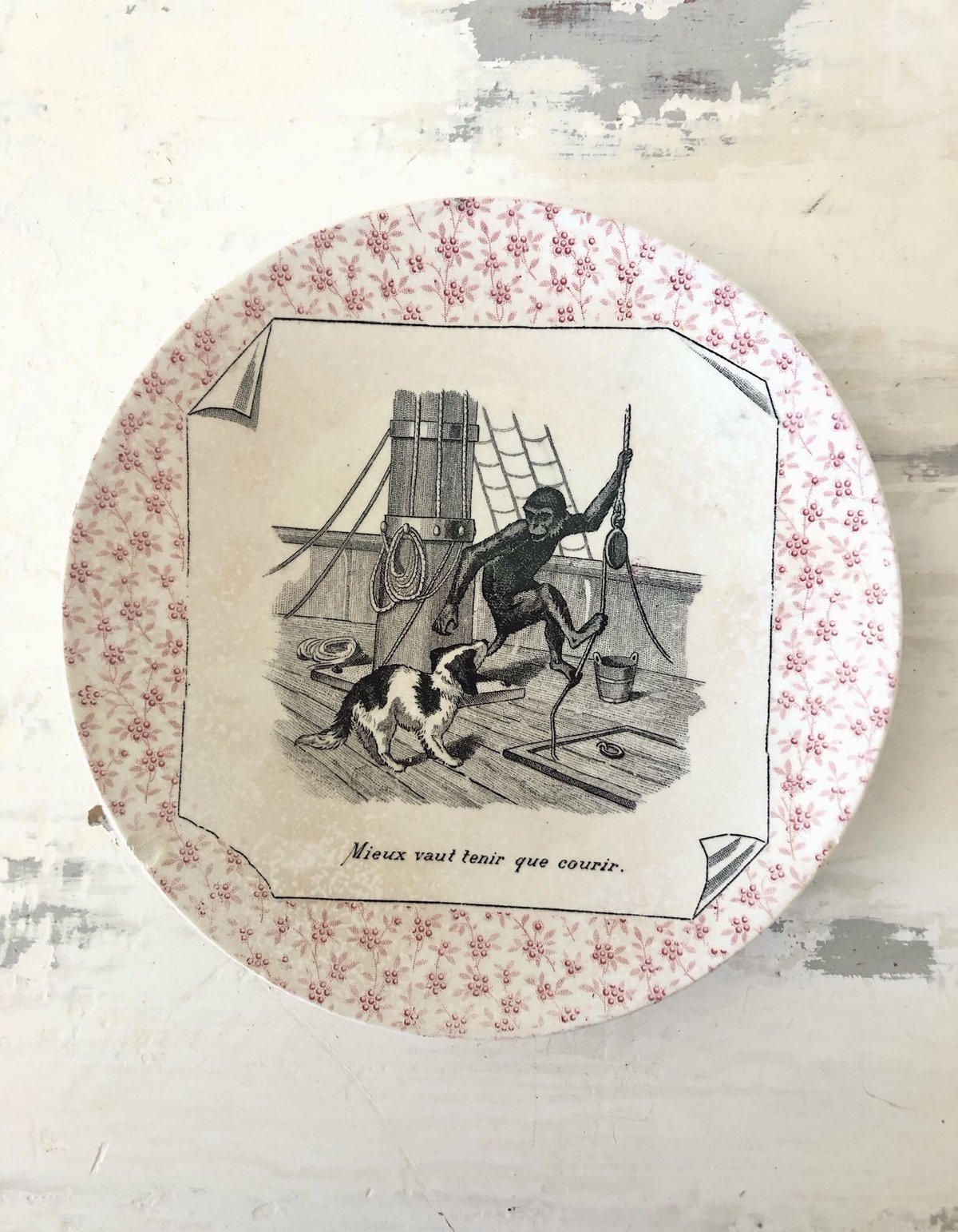 アンティーク○絵皿19､5cm○サルグミンヌ○ワンコ、モンキー | Vintage