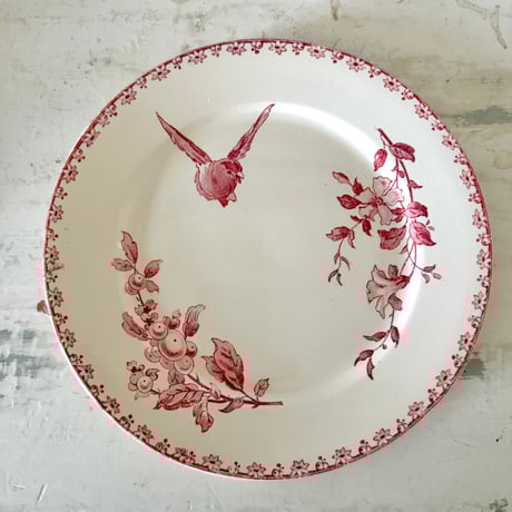 サルグミンヌ | STORES