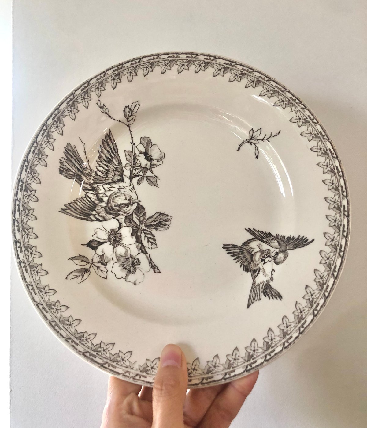 サルグミンヌBUFFON sarreguemines buffon プレート皿