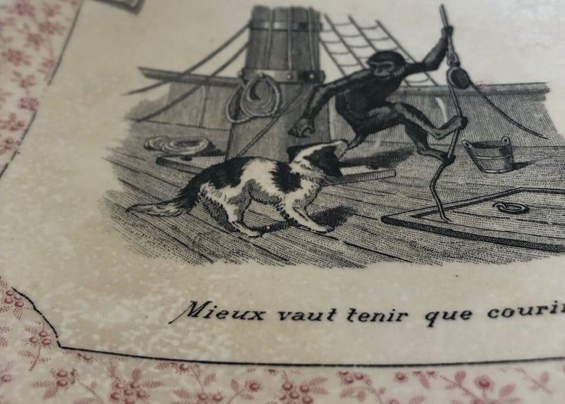 アンティーク○絵皿19､5cm○サルグミンヌ○ワンコ、モンキー | Vintage
