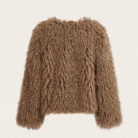 brown fluffy coat♡