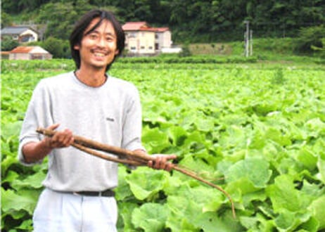 ゴウツ畑の野菜ボックス(大)