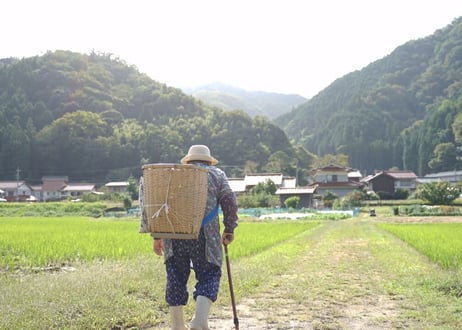 ゴウツ畑の野菜ボックス(大)