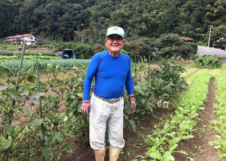 ゴウツ畑の野菜ボックス(大)