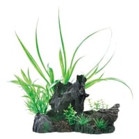 癒し水景　MIXプランツ　ロック黒