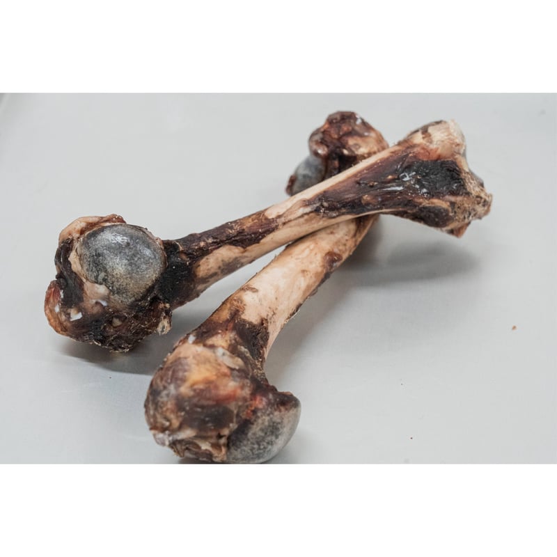 K&D エゾ鹿 骨おやつ 犬用 | PETBOXオンラインストア