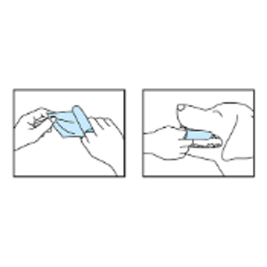645c8a2476f1c9002cd920c4