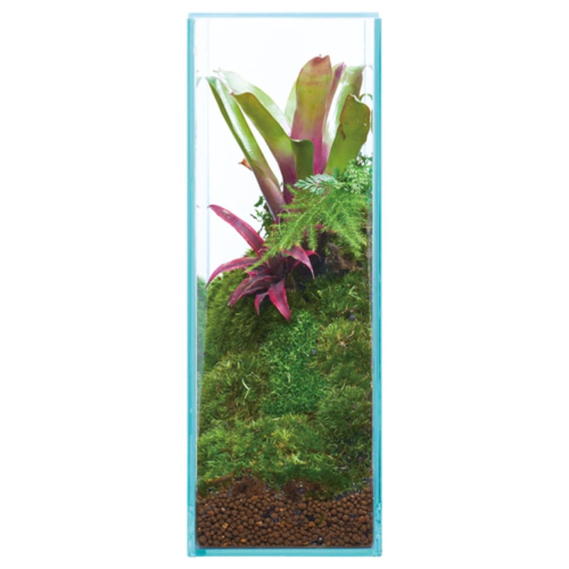 グラステリア フィット200H | PETBOXオンラインストア