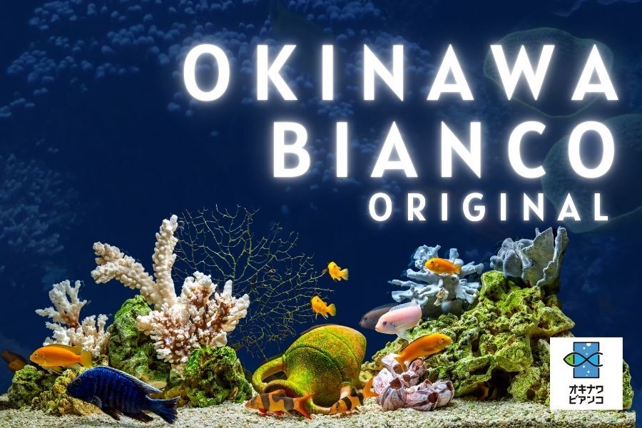 その他 PETBOX [DVD] 6g7v4d0 Amazon.co.jp: ニワトリフェニックス DVD : パソコン・周辺機器