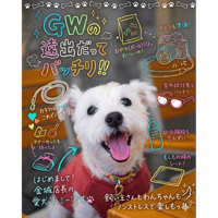 ハリネズミリター 6L | PETBOXオンラインストア