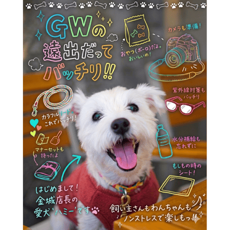 SALE | PETBOXオンラインストア