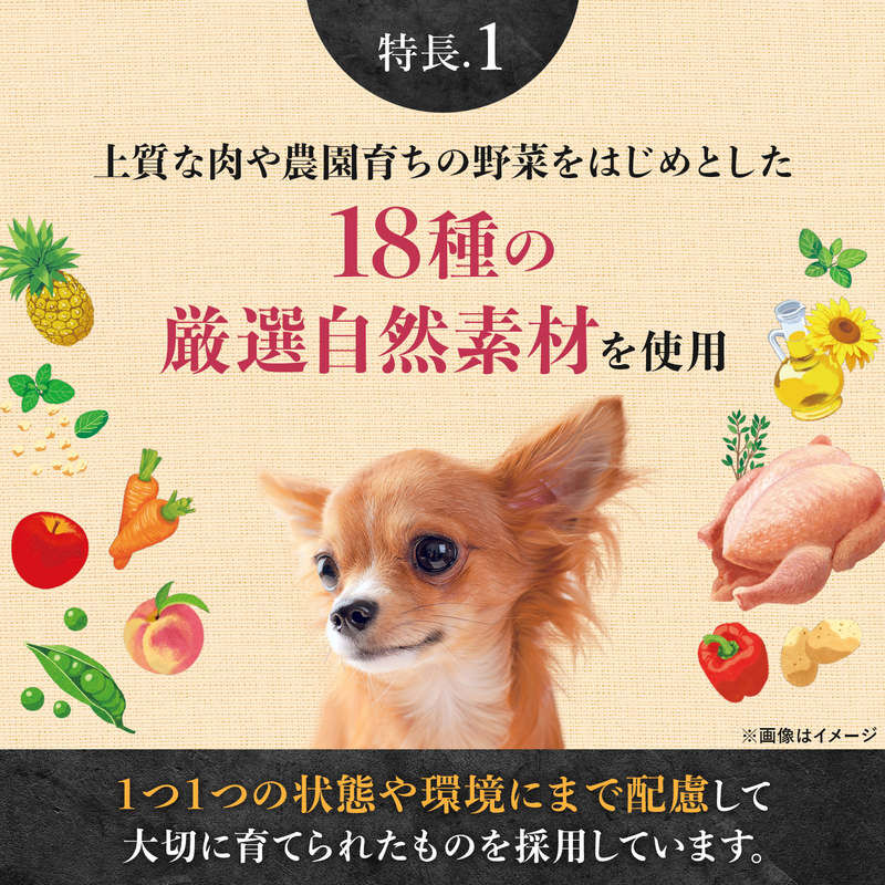 シュプレモ プレミアム ブレンド【ラム】超小型犬～小型犬 成犬用