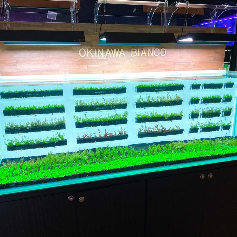 Neutral（S）tand アースハンガーネオ水深60cm用 | PETBOX