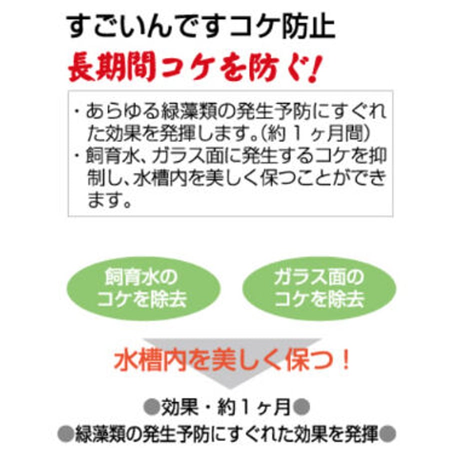 60753fe0935fcc01a87226b9