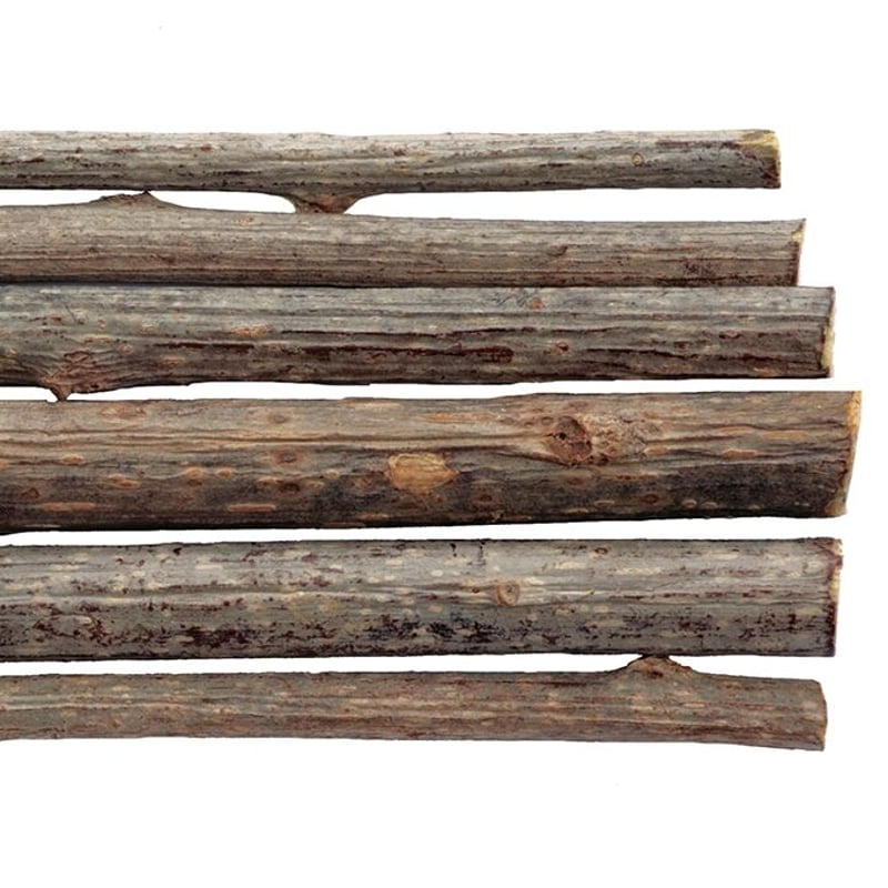 またたびページ ペットライブラリー CATWANT またたび棒 50g 各種の通販はau PAY